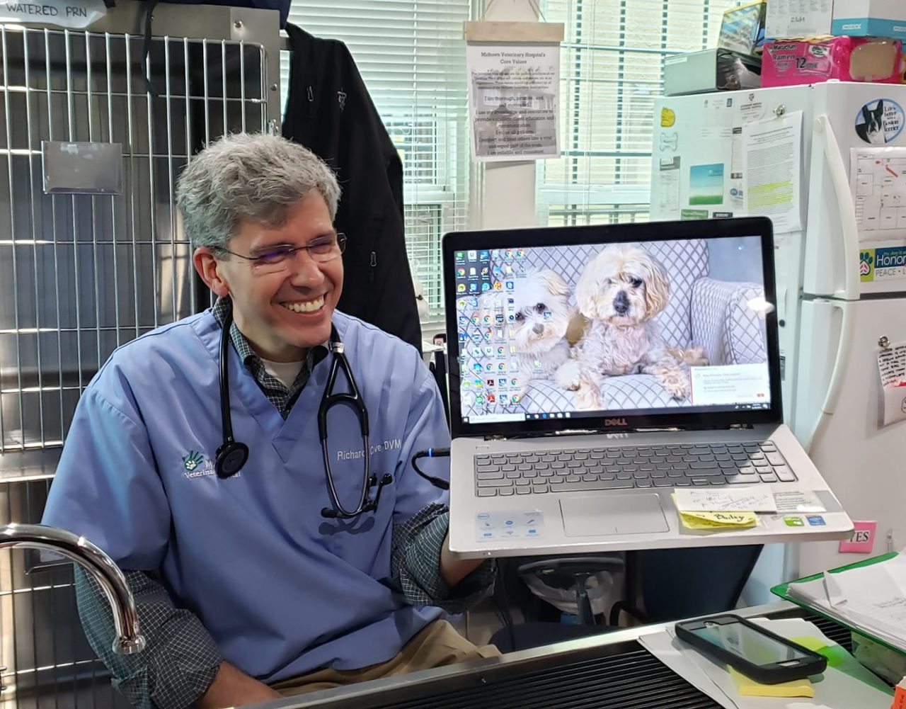 Houston, TX 77006 Veterinarian Midtown Veterinary Hospital