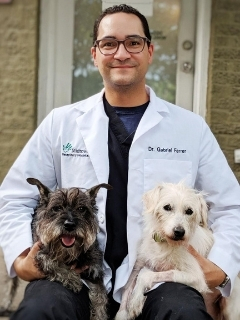 Gabriel Ferrer, DVM